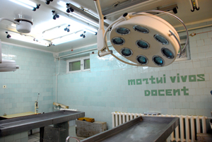 Морг
