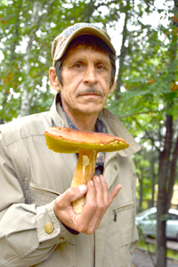 Боровик