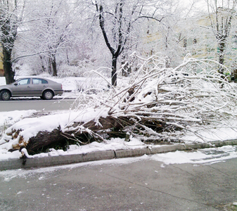 Тополь