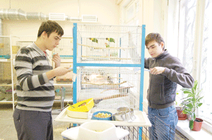 Представители отряда 