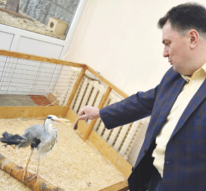 Дмитрий Шибаленков